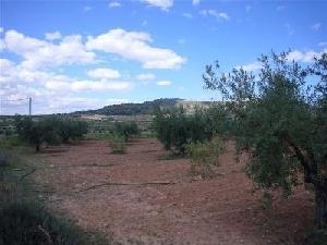 Pinoso property: Land for sale in Pinoso, Spain 41972