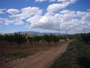 Pinoso property: Alicante Land 41972