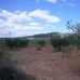 Pinoso property: Pinoso, Spain Land 41972