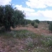 Pinoso property: bedroom Land in Alicante 41972