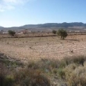 Jumilla property: Land for sale in Jumilla 42050