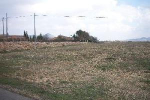 Pinoso property: Land for sale in Pinoso 42051