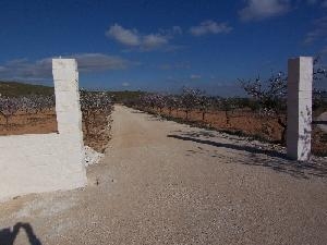 Pinoso property: Land with 4 bedroom in Pinoso 42055