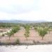 Pinoso property: Land in Pinoso 42055