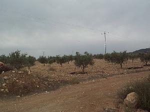 Torre Del Rico property: Land for sale in Torre Del Rico 42073