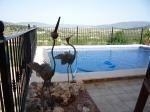 Pinoso property: Villa for sale in Pinoso, Spain 42098