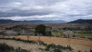 Pinoso property: Land for sale in Pinoso, Spain 42120