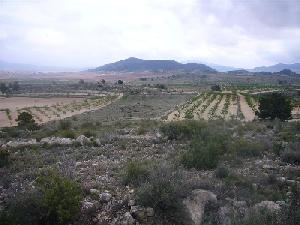 Pinoso property: Alicante property | bedroom Land 42120