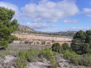 Yecla property: Land for sale in Yecla 42122