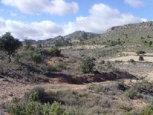 Yecla property: Land with bedroom in Yecla 42122