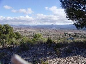 Yecla property: Yecla, Spain | Land for sale 42122