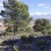 Yecla property:  Land in Murcia 42122