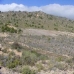 Yecla property: Land in Yecla 42122