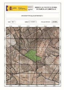 Yecla property: Land for sale in Yecla 42125