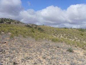 Yecla property: Land for sale in Yecla, Spain 42125