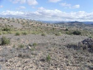 Yecla property: Land with bedroom in Yecla 42125