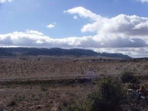 Yecla property: Land in Murcia for sale 42125