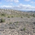 Yecla property: bedroom Land in Yecla, Spain 42125