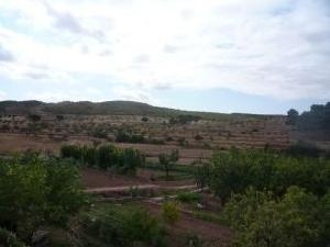 Jumilla property: House for sale in Jumilla, Spain 42143