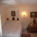 Pinoso property: Pinoso Cave House, Spain 42149