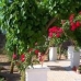 Beneixama property:  Villa in Alicante 42156