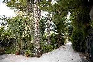 Novelda property: Villa with 4 bedroom in Novelda 42177