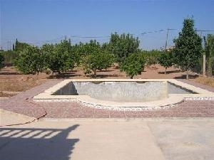 Crevillent property: Villa for sale in Crevillent, Spain 42202