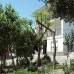 Hondon de las Nieves property: Alicante, Spain Apartment 42222