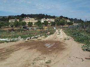 Pinoso property: Pinoso, Spain | House for sale 42225