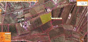 Pinoso property: Land for sale in Pinoso 42227