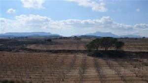 Pinoso property: Land with bedroom in Pinoso, Spain 42236