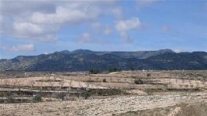 Pinoso property: Land in Alicante for sale 42236