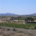 Pinoso property: bedroom Land in Pinoso, Spain 42236