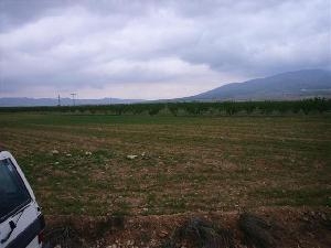 Pinoso property: Land for sale in Pinoso 42280