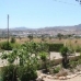 Sax property: 3 bedroom House in Sax, Spain 42291