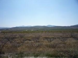 Pinoso property: Pinoso, Spain | Villa for sale 42309