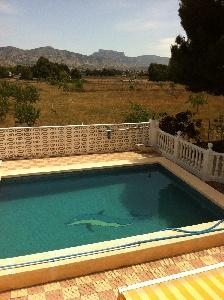 Sax property: Alicante property | 3 bedroom House 42322