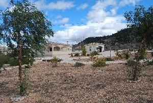 Pinoso property: Villa for sale in Pinoso, Alicante 42367