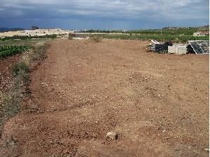 Pinoso property: Land with bedroom in Pinoso, Spain 42391