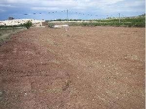 Pinoso property: Land in Alicante for sale 42391