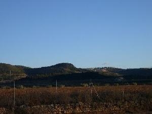 Pinoso property: Pinoso Land 42391