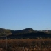 Pinoso property: Beautiful Land for sale in Alicante 42391