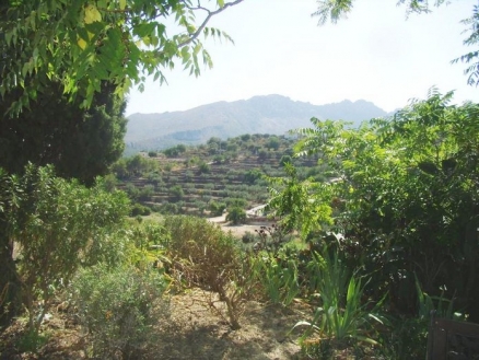 Alicante Finca 48019