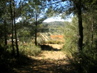 Land for sale in town, Spain 48933