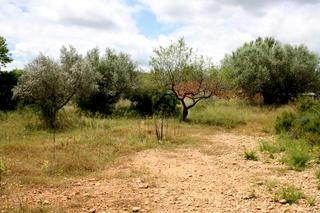 Finca with bedroom in town, Spain 48935