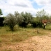 bedroom Finca in Castellon 48935