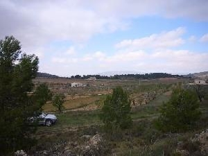 Pinoso property: Land for sale in Pinoso, Spain 48984