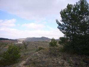 Pinoso property: Land with bedroom in Pinoso, Spain 48984