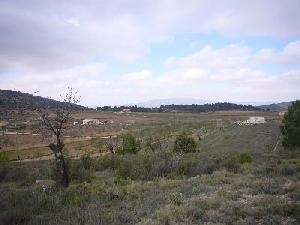 Pinoso property: Land in Alicante for sale 48984