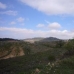 Pinoso property: Pinoso Land, Spain 48984